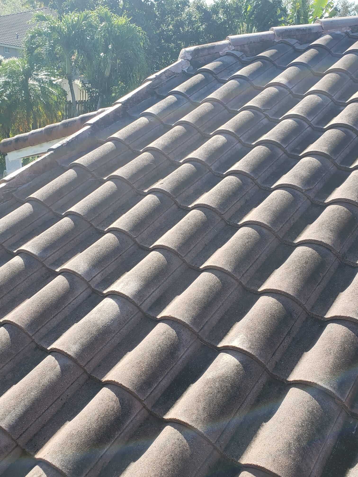Tile Roof Cleaning and Painting - 2